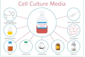 mammalian cell culture media mammalian cell culture media